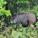 당현초교 이미지