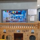 빙고 애견카페 이미지