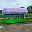 제령포레스트캠프
