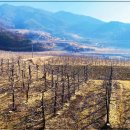 평수농장 이미지