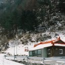 차구리마을회관 Daum카페