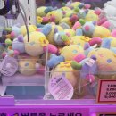 인형뽑기방 | 성수역 인형뽑기 후기 슈퍼베어 인형뽑기방 후기 성수 인형뽑기방