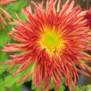 동래원예고등학교 이미지