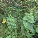 일월민박 이미지