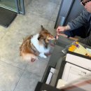 키움동물병원 이미지