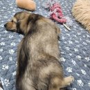 오픈주 하남스타필드점 이미지