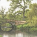 하나식품 이미지