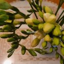 화림농장 이미지