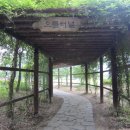 정자문화공원 이미지