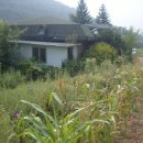 매포읍사무소 이미지