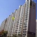 광산구-137 Daum카페