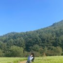 메밀꽃 화장실 이미지