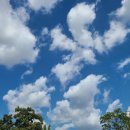 하늘마당-비상 이미지