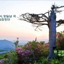 유월 이미지
