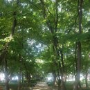 삿갓봉근린공원 이미지