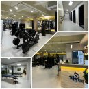 깨움피티 이미지