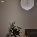 하루미즈