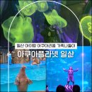 뉴스카이모터스 | 일산 아이랑 아쿠아리움 가족나들이 아쿠아플라넷 할인 묶코스 정보
