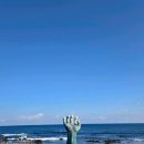 구룡포횟집 - 포항시 남구 상공로18번길 34 | 포항 양준혁 횟집 어디? 구룡포 동끝횟집 방문 후기