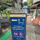 동홍동공원 | (서귀포시 동홍동) 제주 3대폭포 바다와 이어지는 정방폭포 방문후기