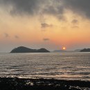 더숲캠핑장 | 충남 태안 안면도 캠핑 명소! 백사장사계절숲속캠핑장 후기 (바다+숲 완벽 조합)