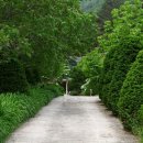 새들민박 이미지