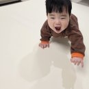 하우스140 | 코스트코 매트 추천 크림하우스 논슬립 프리 폴더매트 사용후기