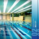 매일스포렉스 이미지