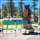 빅그라운드 | 🏔️빅베어 레이크 여행기 : 세라노 캠프그라운드, 캐슬락 트레일 하이킹, 보울더 베이 산책