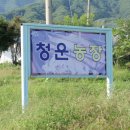 청운 농장 이미지