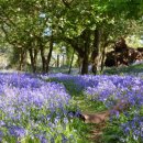 리뉴치과교정과치과의원 이미지