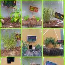 푸른길 작은도서관 이미지