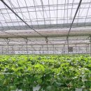 이슬농원 이미지