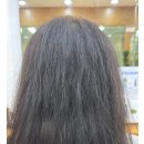 여성탈모 + 모발극손상, 답은 하나! 토탈복구매직으로 탈모커버와 머릿결 복구를 한 번에 끝내는 신개념 펌 솔루션 이미지