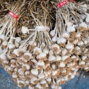 군산대야시장 이미지