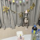 베리멍 | 하남 미사 강아지케이크 반려동물케이크 베리멍 추천!