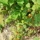 김주연농장 이미지