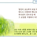 일일예화말씀묵상 2023년 12월 25일 (화) - 거미와 혼수 이미지