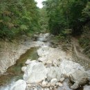 성심할인마트 이미지