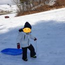 용평한우관 이미지