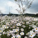 산외면사무소 이미지