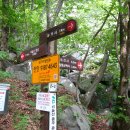 유가사등산로 이미지