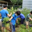 동곡초등학교 이미지