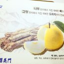 아리엘미문