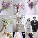 플라워앤윤선