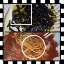 배달의쌀국수 이미지