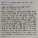 펫하우스 동물병원 이미지