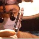 벨루스 헤어 이미지