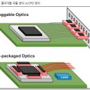 광연산업 | 3월 주요 이슈및 공부할내용