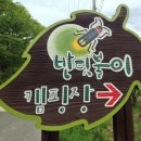 반딧불이 캠핑장 이미지